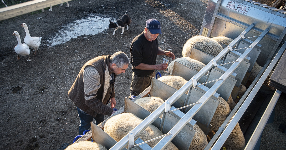 A pályázatokban segítenek a székelyföldi Falugazdász-hálózat szakemberei
